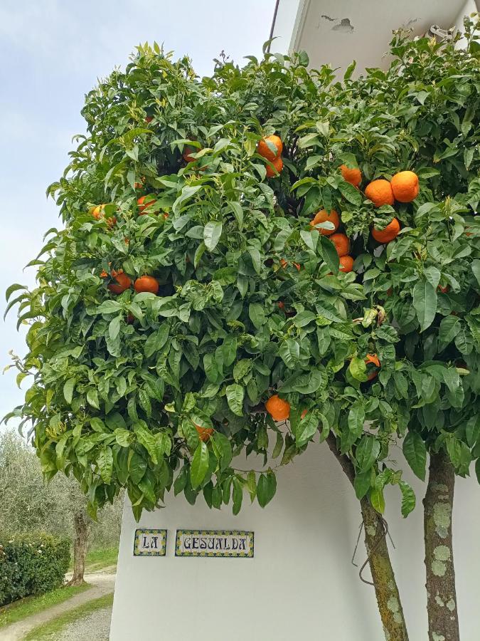 Apartamento Locazione Turistica La Gesualda Castelnuovo Magra Exterior foto