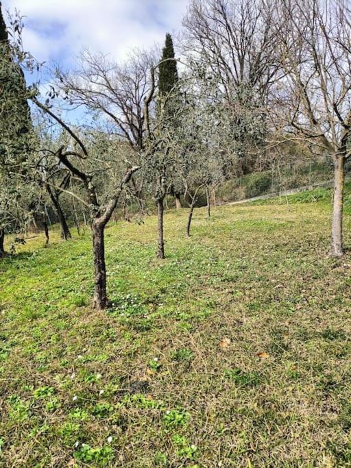 Apartamento Locazione Turistica La Gesualda Castelnuovo Magra Exterior foto