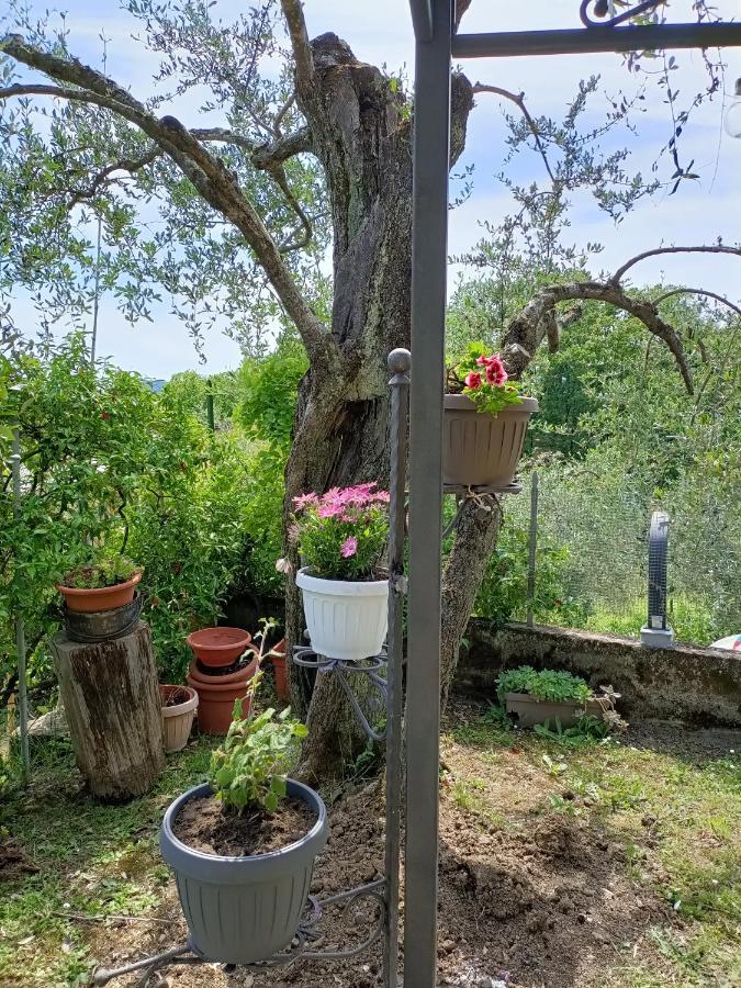 Apartamento Locazione Turistica La Gesualda Castelnuovo Magra Exterior foto